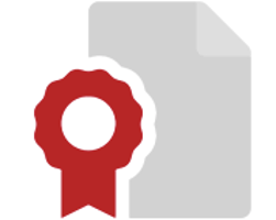 Treinamento e insights