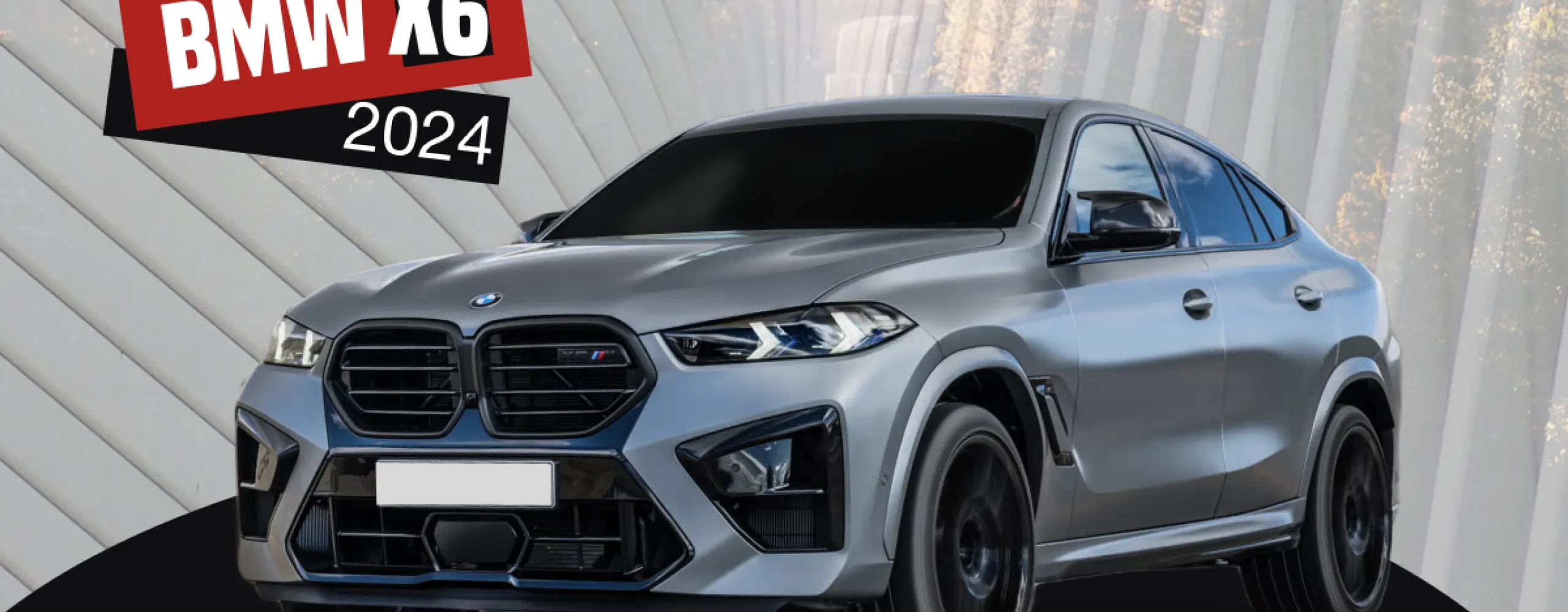 2024 BMW X6